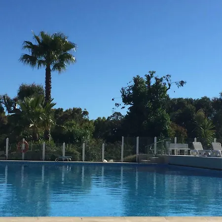 California Dreamin' In Cannes Vallauris
