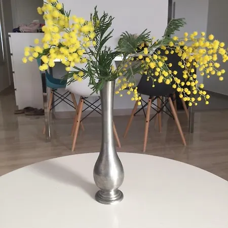 Apartamento California Dreamin' In Cannes *