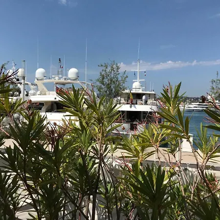 California Dreamin' In Cannes Vallauris